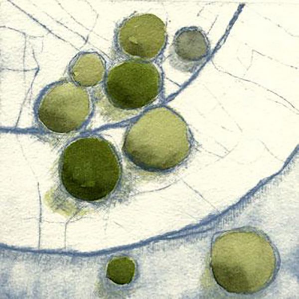 "Peas on a Plate"