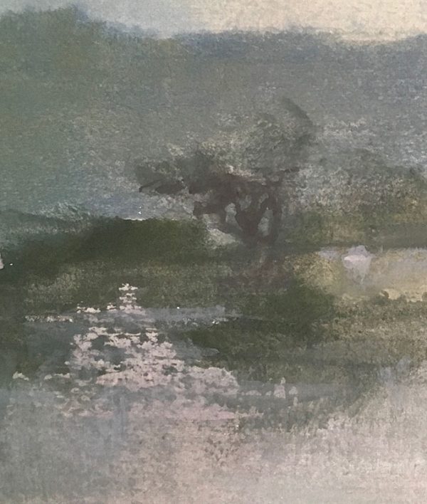 "Shannon Estuary"